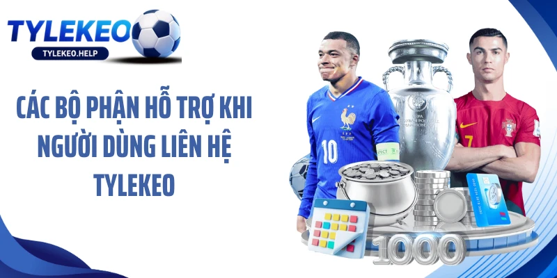 Các bộ phận hỗ trợ khi người dùng liên hệ tylekeo