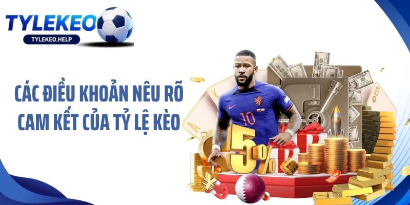 Các điều khoản nêu rõ cam kết của Tỷ lệ kèo