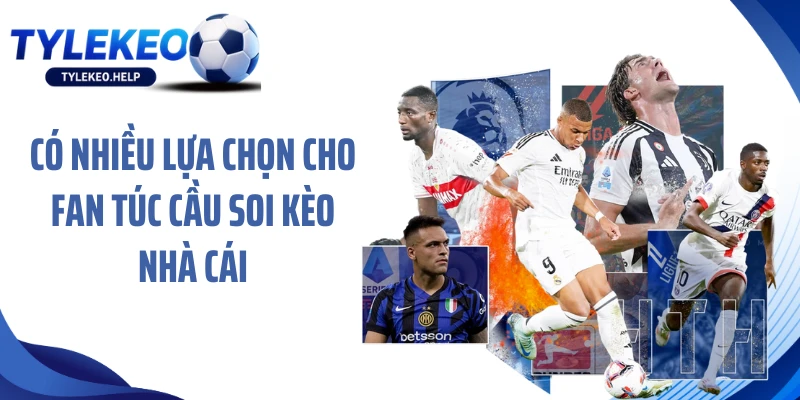 Có nhiều lựa chọn cho fan túc cầu soi kèo nhà cái