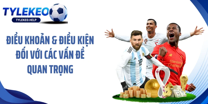 Điều khoản & điều kiện đối với các vấn đề quan trọng