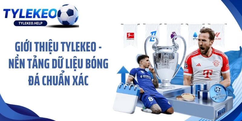 Giới thiệu tylekeo - nền tảng dữ liệu bóng đá chuẩn xác