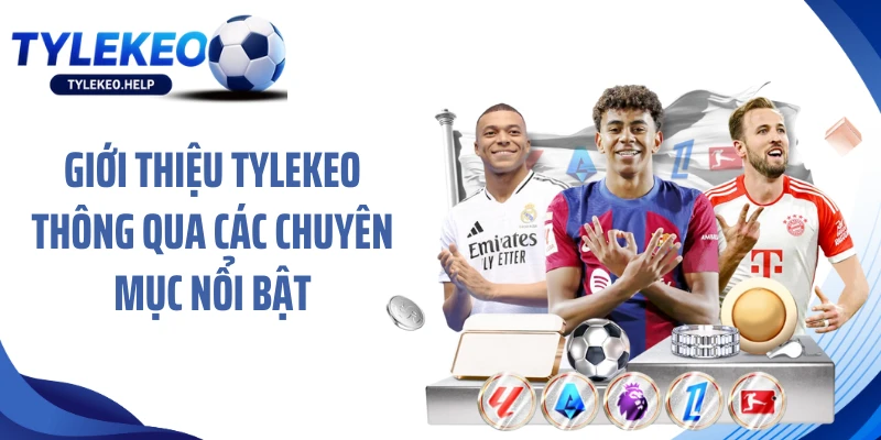 Giới thiệu tylekeo thông qua các chuyên mục nổi bật