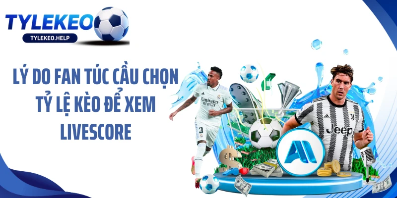 Lý do fan túc cầu chọn Tỷ lệ kèo để xem Livescore