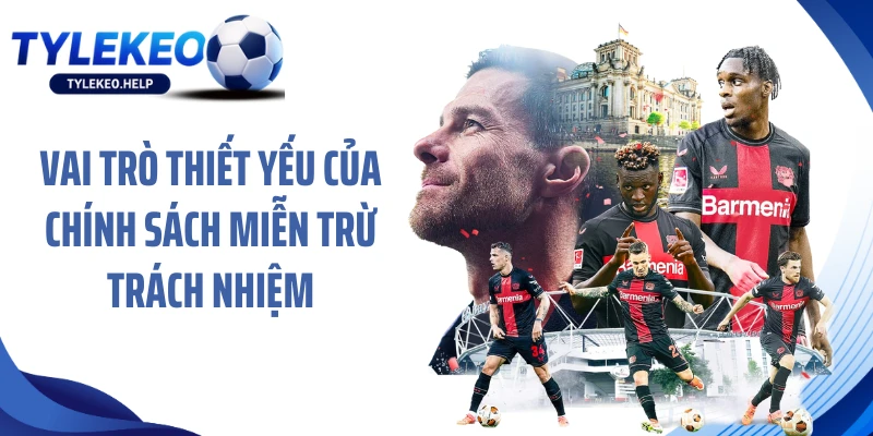 Vai trò thiết yếu của chính sách miễn trừ trách nhiệm