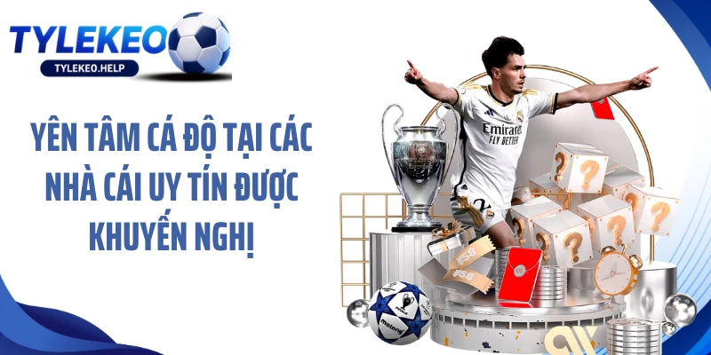 Yên tâm cá độ tại các nhà cái uy tín được khuyến nghị