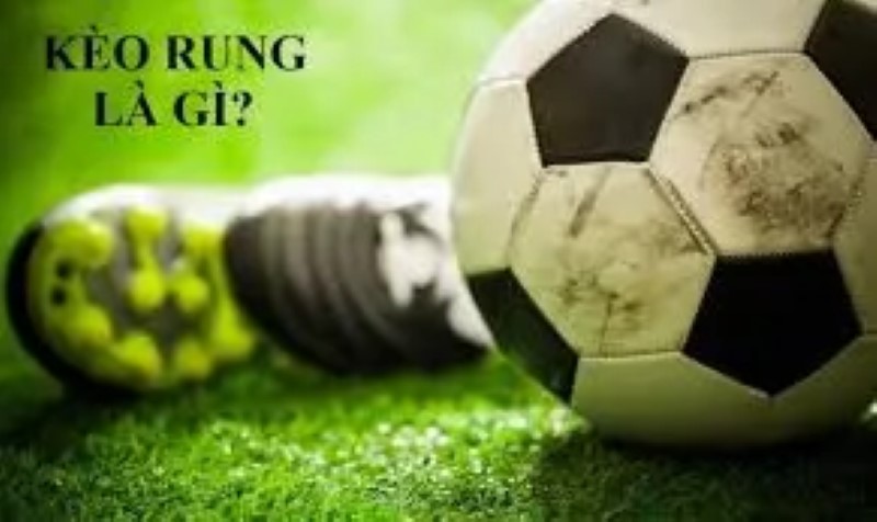 Vì sao kèo rung lại thu hút nhiều người theo dõi?